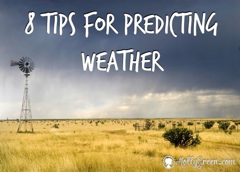 Weather Folklore, Weather Magick, Weather Forecasting, Green Magazine, Survival Skills Emergency Preparedness, Folk Lore, Weather Predictions, Weather Quotes, Storm Chasing