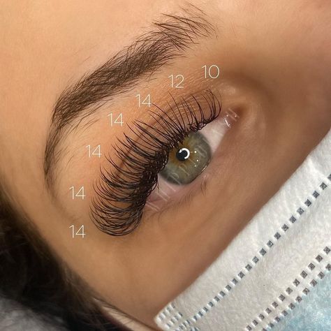 Classic Lash Extension Mapping, Classic Open Eye Lash Map, Classic Lash Mapping Eyelash Extensions, Lash Extensions Mapping Styles Classic, Eyelash Extensions Mapping Styles Hybrid, Classic Set Eyelash Extensions Mapping, Eyelash Extensions With Mapping, Classic Lash Maps, Eyelash Extensions Styles Classic