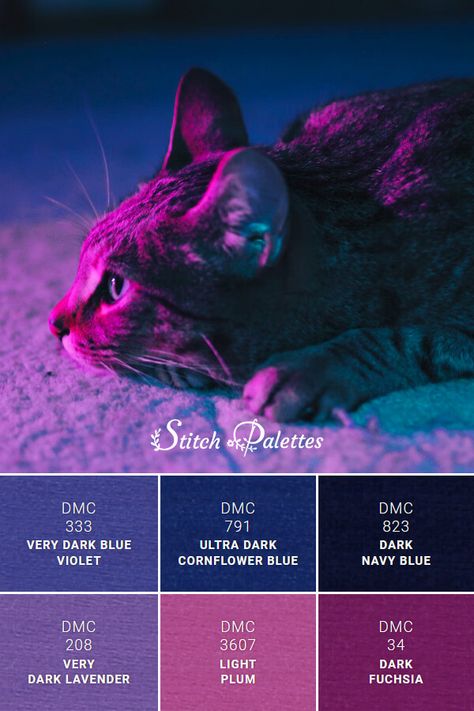 Navy Blue Purple Color Palette, Color Schemes With Dark Blue, Color Palette With Violet, Pink Blue Purple Color Palette, Colors That Go With Dark Blue, Royal Purple Color Palette, Navy Blue Complimentary Colors, Dark Purple Palette, Tiffany Blue Color Palette