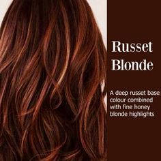 Russet Red - I would leave out the blonde highlights Brunette With Lowlights, Red To Blonde, Honey Blonde Highlights, Red Brown Hair, Hair Color Auburn, Red Highlights, Ombré Hair, Winter Hair Color, Hair Color Highlights