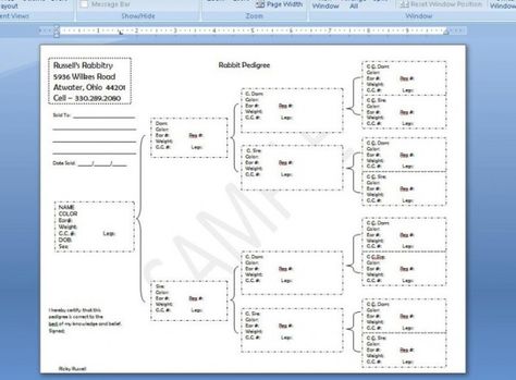 Rabbit Pedigree Template, Rabbit Pedigree, Basic Banner, Raising Rabbits, Bunny Stuff, Best Banner, Chart Template, Website Banner, Nesting Boxes