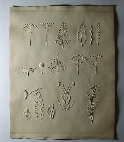 Tactile Art For The Blind, Blind Aesthetic, Blind Emboss, Blind Art, Tactile Art, Blind Embossing, Visual Impairment, Embossing Techniques, Inclusive Design