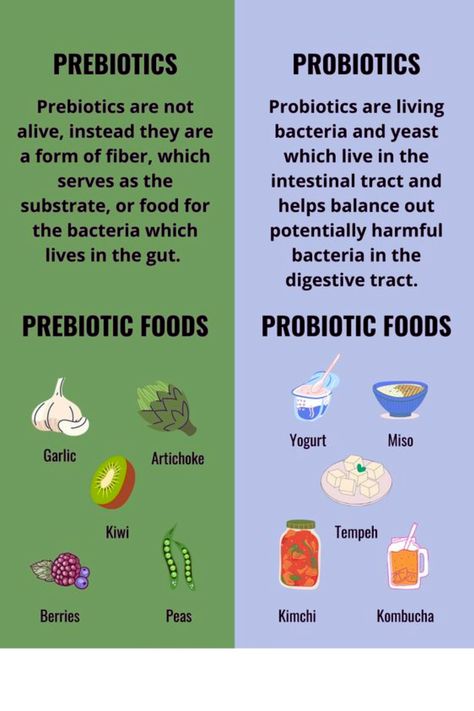 Recipes Gut Health, Microbiome Diet, Sharp Mind, Prebiotic Foods, Gut Issues, Gut Health Diet, Gut Health Recipes, Prebiotics And Probiotics, Probiotic Foods