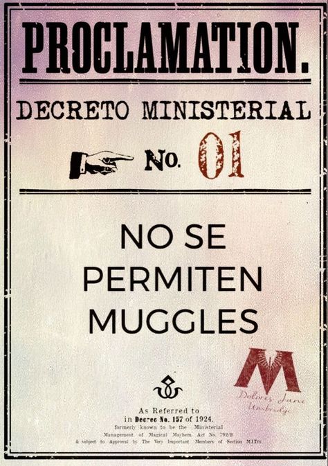 Decoracion Harry Potter, Dibujos Harry Potter, Harry Potter Cumpleaños, Frases Harry Potter, Harry Potter Dibujos, Harry Potter Posters, Posters Harry Potter, Harry Potter Muggle, Poster Harry Potter