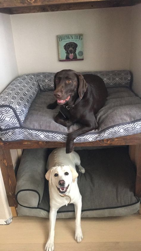 Dog Area In Bedroom Ideas, Dogs In Bedroom, Double Decker Dog Bed, Dog Bed Under Desk, Room For Dog In House, Dog Bed In Office, Hidden Dog Bed, Rv Dog Bed, Dog Bed Room