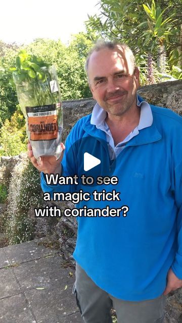 Simon Akeroyd on Instagram: "Magic! How to make four plants from one. And how to make coriander live for longer. Its the magical world of gardening and nature. #gardeningforbeginners #herbgardening #growingcoriander #dividingplants" Growing Hacks, Veggie Beds, Growing Coriander, Plant Growing, Growing Plants Indoors, Patio Plants, Indoor Gardening, Coriander Seeds, Garden Stuff