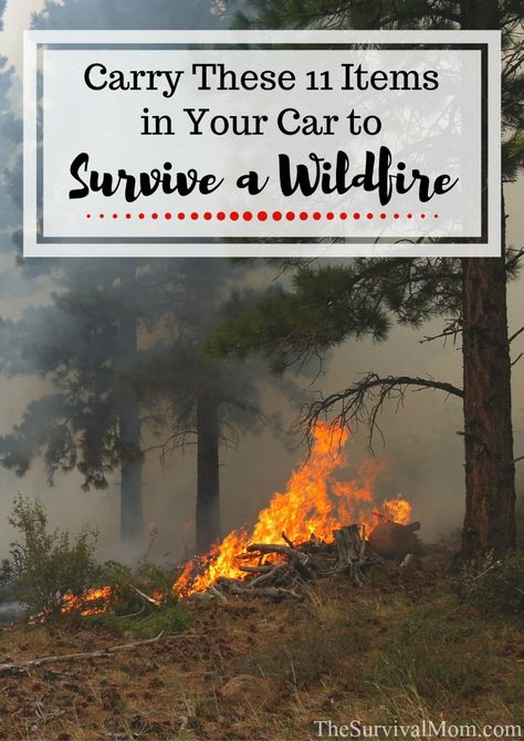 items-in-car-survive-wildfire Survival Quotes, Homestead Survival, Emergency Prepping, Disaster Preparedness, Wilderness Survival, Survival Food, About Money, Camping Survival, Survival Prepping