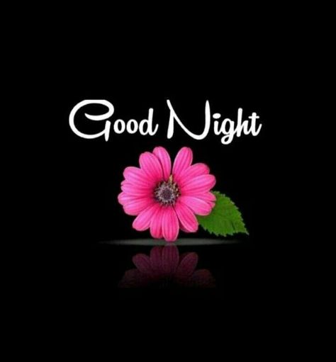 Good Nyt, Good Night Images Hd, Good Morning Love Messages, Evening Greetings, Good Night Flowers, Good Morning Images Hd, Good Morning Beautiful Pictures, Good Morning Beautiful Images, Good Night Gif