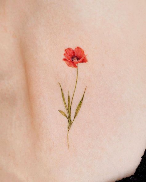 Small Poppy Tattoo Simple, Poppy Tattoo Flower, Tiny Poppy Flower Tattoo, Poppy Flower Back Tattoo, Poppy Tattoo Color, Poppy Flower Tattoo Color, Red Poppy Flower Tattoo, Golden Poppy Tattoo, Tiny Poppy Tattoo