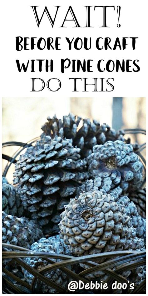 Winter snowy pine cone craft - Debbiedoos Pine Cone Craft, Snowy Pinecone, Pine Cone Christmas Decorations, Pinecone Crafts Kids, Pinecone Crafts Christmas, Painted Pinecones, Pine Cone Christmas Tree, Pine Cone Art, Cone Crafts