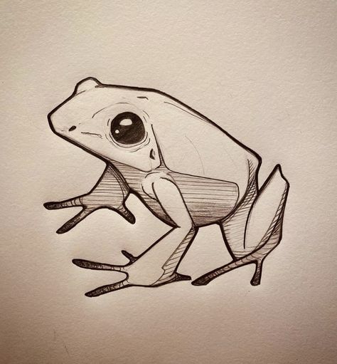 Toad Drawing, Sketching For Beginners, Sketches For Beginners, Easy Sketches For Beginners, Frog Sketch, Easy Sketches, Frog Illustration, Frog Drawing, Graffiti Style Art