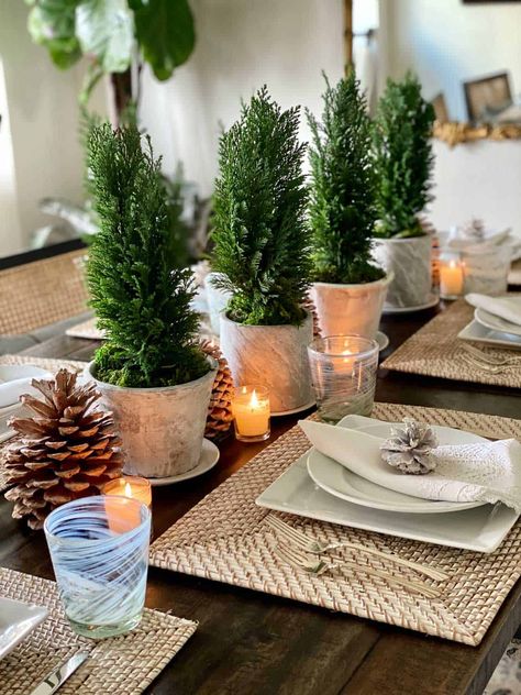 Diy Plant Crafts, Natural Holiday Decor, Plants Interior, Plant Styling, Table Centerpieces Diy, Plant Crafts, Tree Centerpieces, Faux Snow, Winter Table