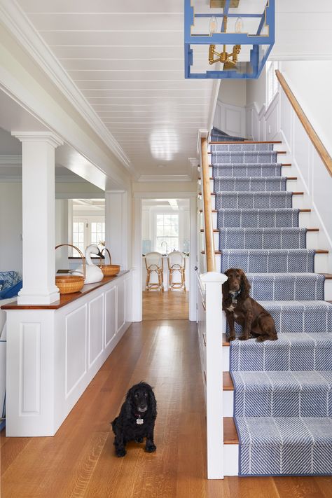 Hamptons Carpet Ideas, Blue Carpet Stairs, Nantucket Beach House Interiors, Modern Nantucket Home, Nantucket Living Room, Nantucket Bedroom, Nantucket Style Homes Interior, Nantucket House, Nantucket Style Homes