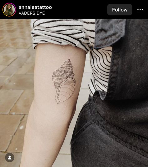 Shell tattoo by annaleatattoo Shell Tattoo, Shell Tattoos, Send Me, Triangle Tattoo, Your Skin, My Art, Shells, Tattoos