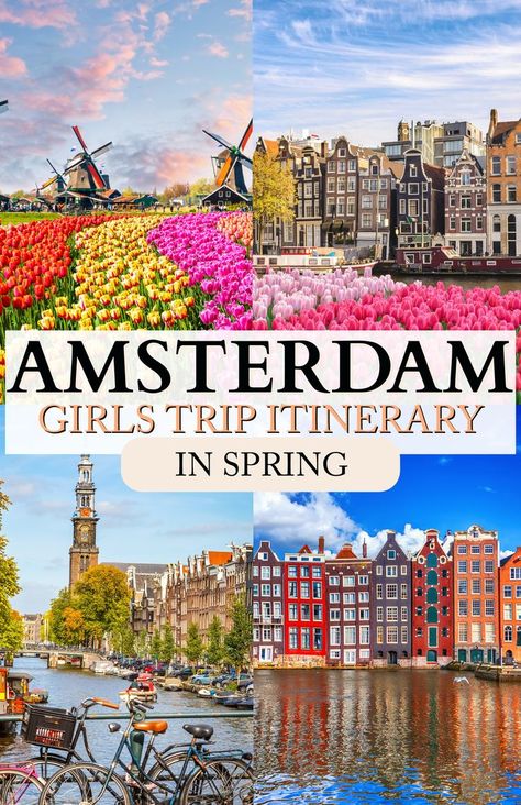 Picture of tulips in Amsterdam with text Amsterdam Travel Guide Spring Tulip Garden Amsterdam, Amsterdam In Spring, Amsterdam Girls, 3 Days In Amsterdam, Amsterdam Restaurants, Amsterdam Vacation, Amsterdam Tulips, Amsterdam Restaurant, Perfect Girlfriend