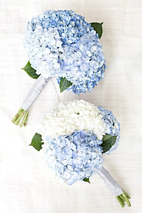 Classic Blue Wedding, Blue Hydrangea Wedding, Hydrangea Bouquet Wedding, Wedding Flower Guide, Flowers Hydrangea, Wedding Flowers Hydrangea, Idee Babyshower, Hydrangea Wedding, Blue And White Flowers