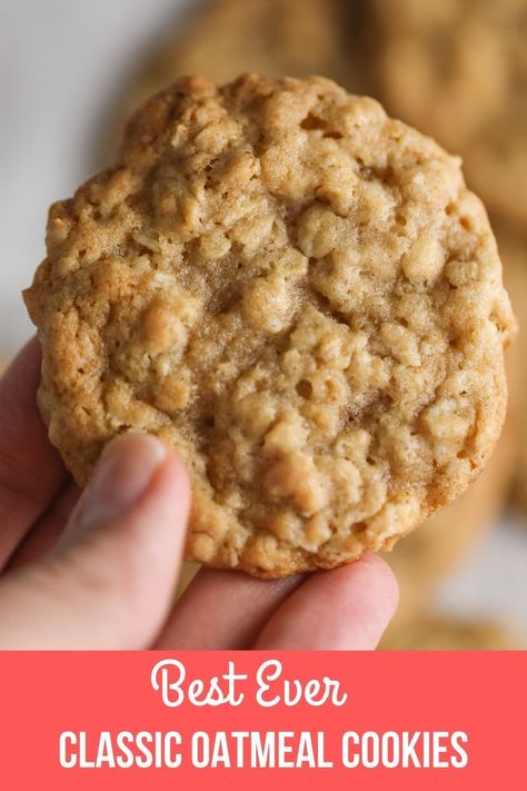 Chewy Oatmeal Cookies Recipe, Oatmeal Cookies Recipes Easy, Soft Oatmeal Cookies, Oatmeal Coconut Cookies, Best Oatmeal Cookies, Oatmeal Cookies Easy, Cookie Recipes Oatmeal Raisin, Coconut Oatmeal, Plain Cookies