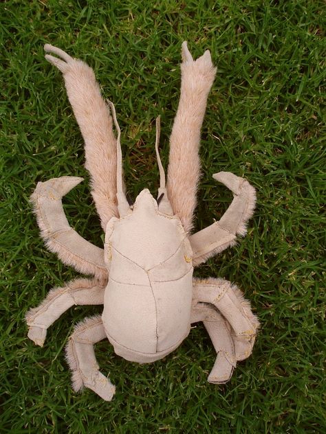 Fish Diorama, Yeti Crab, Real Animals, Yes It Is, Fake Fur, African Animals, Sea Creatures, Animals Beautiful, Crab