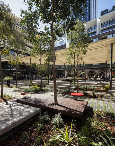 Darling Square / ASPECT Studios | ArchDaily Circular Buildings, Linear Park, Urban Landscape Design, Public Space Design, Public Square, Public Realm, Urban Park, Green Square, Street Design