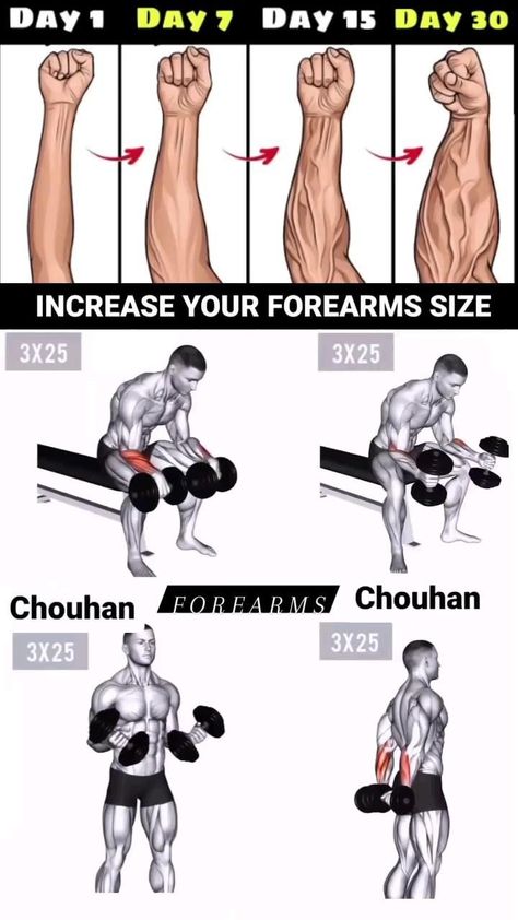 Forearm Building Exercises, Arm Building Exercises, Best Arm Workout Dumbell, Mussel Building Workout, Forearm Home Workout For Men, Athlete Arm Workout, Four Arm Workouts, Arms Dumbells Workout, Dumbell Forearm Workout