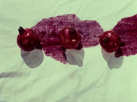 The Colour of Pomegranates – FILMGRAB [ • ] Pomegranate Quotes, The Color Of Pomegranates, Sergei Parajanov, Outdoors Tattoo, Film Stills, Pics Art, Animal Design, Architecture Art, Celebrity Weddings