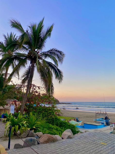 Palm tree on the beach in Mexico during a cotton candy pink sunset Sayulita Aesthetic, Mexico Beach Aesthetic, Mexico Life, Beach In Mexico, Sunset Palm Trees, Mexican Beach, Mexico Beaches, Mexican Beaches, Vacation Aesthetic