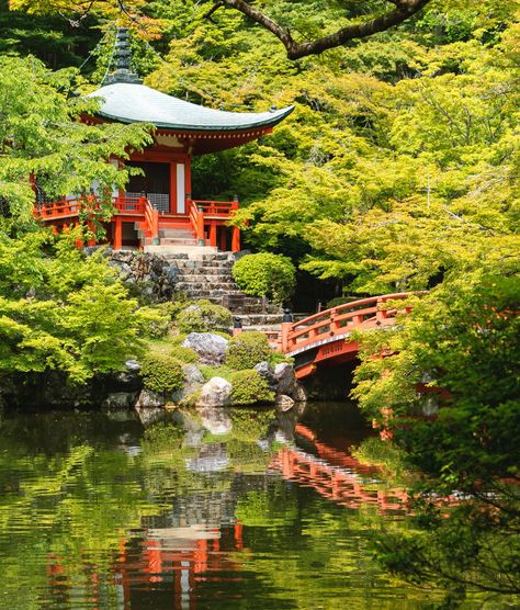 One of Kyoto’s oldest temples, Daigoji, is going into space Small Japanese Garden Ideas, Small Japanese Garden, Japan Image, Beppu, Japan Landscape, Dream Honeymoon, Japanese Temple, Colorful Places, Japan Tokyo