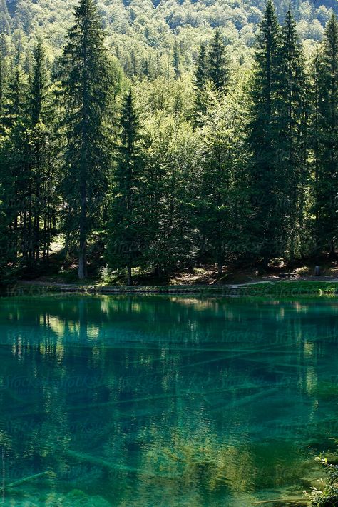 Future Vision, Oil Painting Nature, Pine Lake, Water Reflections, Pine Tree, Mountain Lake, Depth Of Field, Cabin Decor, The Mountain