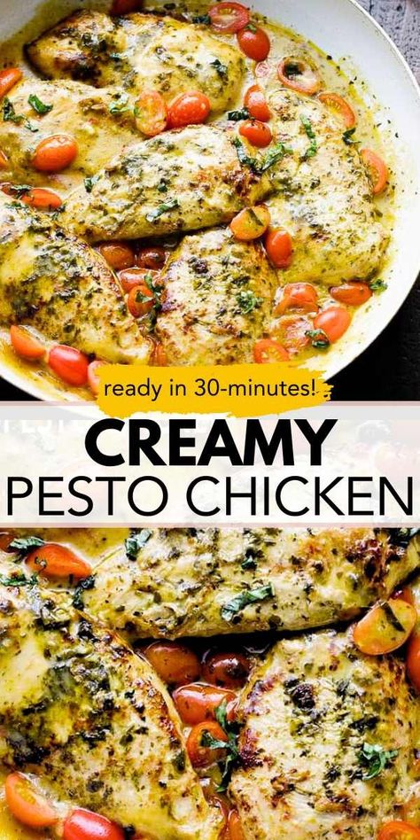 Enjoy a restaurant-quality meal with this Creamy Pesto Chicken recipe! Ready in just 30 minutes, this dish delivers big flavors, using a tasty basil pesto sauce that perfectly coats the juicy chicken and fresh tomatoes. It's a quick, delicious way to change up your dinner routine! Pesto Recipes Dinner, Pesto Chicken Recipe, Creamy Pesto Chicken, Pesto Dishes, Basil Pesto Chicken, Chicken Pesto Recipes, Creamy Pesto, Low Carb Diet Recipes, Pesto Recipe