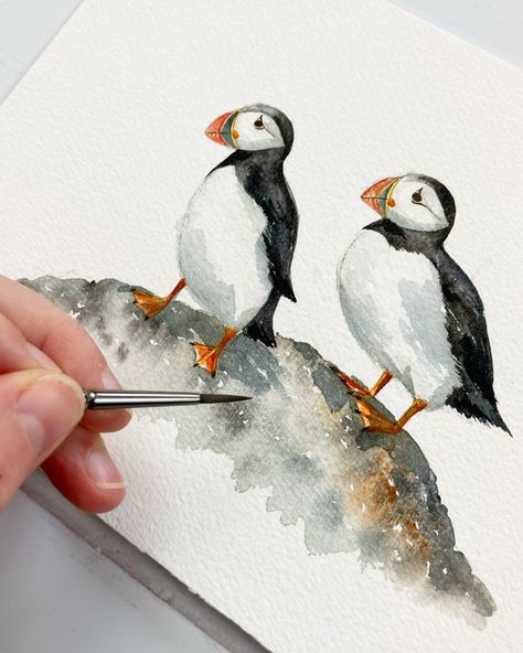 Paint easy watercolour puffins in my new tutorial. Click the link to watch! #watercolour #puffins #puffin #birdpainting #birdillustration #dewintonpaperco Watercolor Birds Easy, Watercolour Puffin, Puffin Watercolor, Puffin Drawing, Puffin Illustration, Puffin Painting, Ireland Scrapbook, Sage Water, Puffin Art