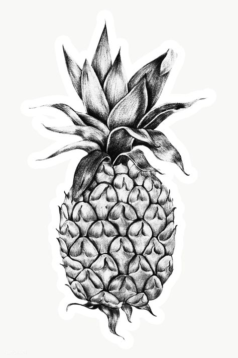 Pineapple Drawings, Halloween Desenhos, Pineapple Sketch, Pinapple Tattoos, Fruit Drawings, Pineapple Pictures, Pineapple Drawing, Pineapple Crafts, Pineapple Illustration