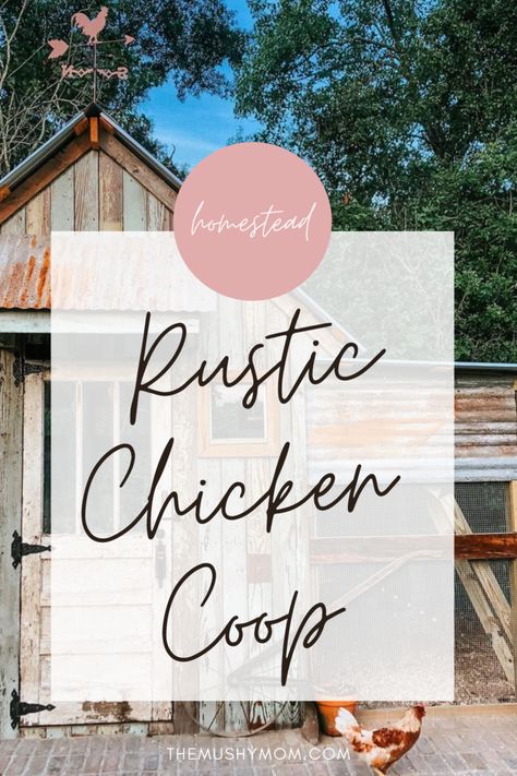 Rustic Chicken Coop Design — The Mushy Mom's Fiat Rustic Chicken Coop, Simple Homestead, Rustic Shed, Rustic Chicken, Walk In Chicken Coop, Backyard Chicken Coop Plans, Dog Run, Chicken Coop Run, Backyard Chicken Farming