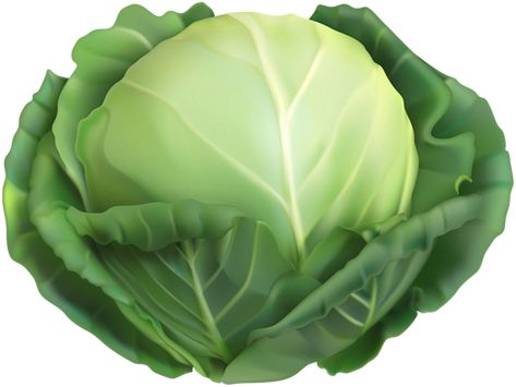 Vegetables Photography, Just Eat, Cabbages, Cartoon Background, Tee Shirt Designs, Look Your Best, The Clothes, How To Find, Recipe Book