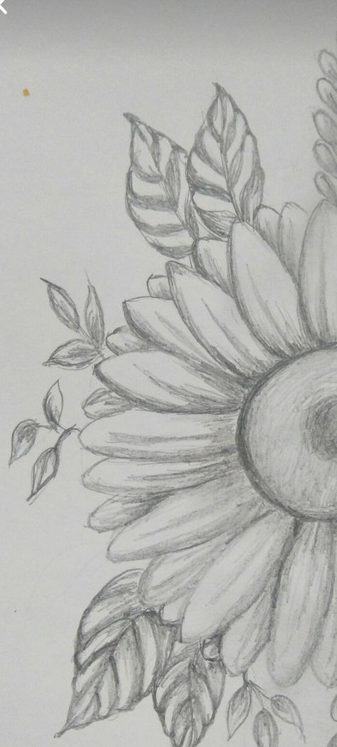 Pen Spin, Daisy Drawing, Book Art Drawings, Simple Art, Art Drawings Simple, Fine Arts, Drawing Sketches, Book Art, Aura