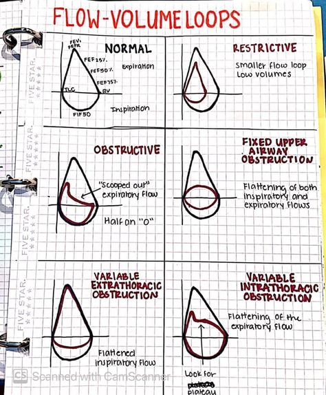 Respiratory Study Notes, Pulmonary Function Test Notes, Respiratory Therapy Student Notes, Respiratory Physiology, Respiratory Therapy Notes, Respiratory Therapist Student, Respiratory Therapy Student, Med School Study, Pulmonary Function Test