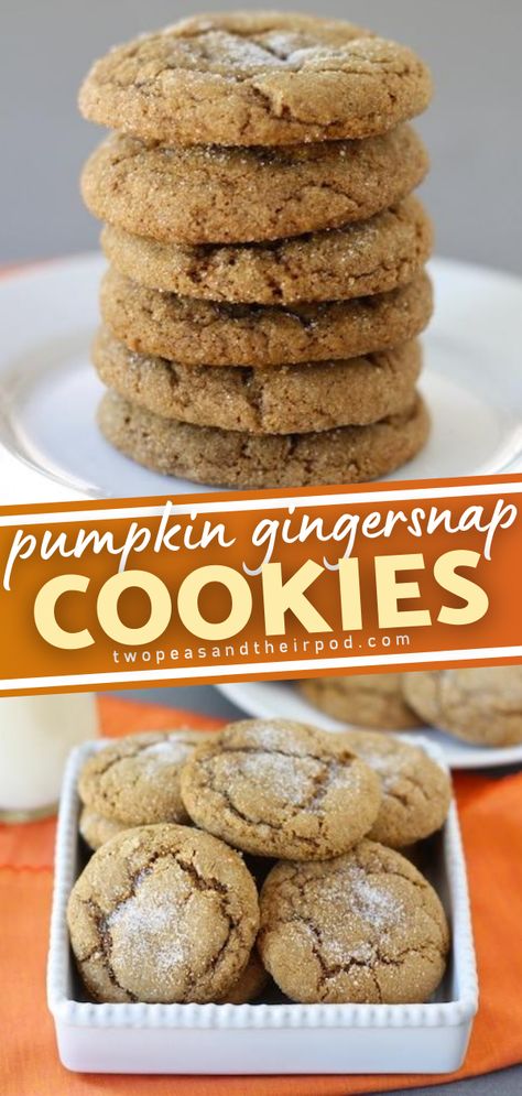 Desserts Pumpkin, Ginger Snaps Recipe, Pumpkin Pie Cookies, Gingersnap Cookies, Pumpkin Recipes Easy, Pumpkin Cookie, Pie Cookies, Ginger Snap Cookies, Ginger Snap