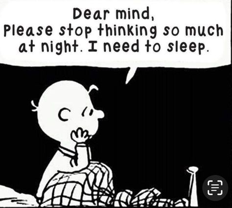 Charlie Brown Quotes, Info Video, Cartoon Strip, Snoopy Quotes, Snoopy Pictures, Life Quotes Love, Charlie Brown And Snoopy, A Cartoon, Insomnia