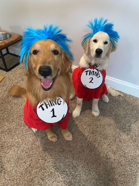 Thing one and thing two dog halloween couple costume Thing One And Thing Two Dog Costumes, Matching Dog Halloween Costumes For 2 Dogs, Cute Dog And Human Halloween Costumes, Matching Costumes For Dog And Owner, Matching Dog Costumes For 2 Dogs, Dog Mom And Dog Halloween Costumes, Person And Dog Halloween Costumes, Dog Pair Halloween Costumes, Matching Dog Halloween Costumes