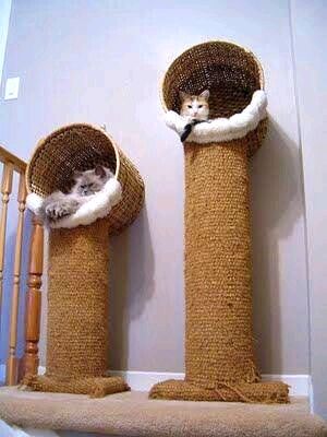 Diy Jouet Pour Chat, Katt Diy, Katt Grejer, Chat Diy, Kat Diy, Diy Cat Tree, Cat House Diy, Diy Cat Toys, Cat Towers