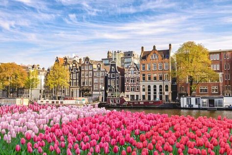 Netherlands Aesthetic, Faroe Islands Denmark, Svalbard Norway, Amsterdam Photography, Tulip Season, European City Breaks, Dutch House, Visit Amsterdam, Round Robin