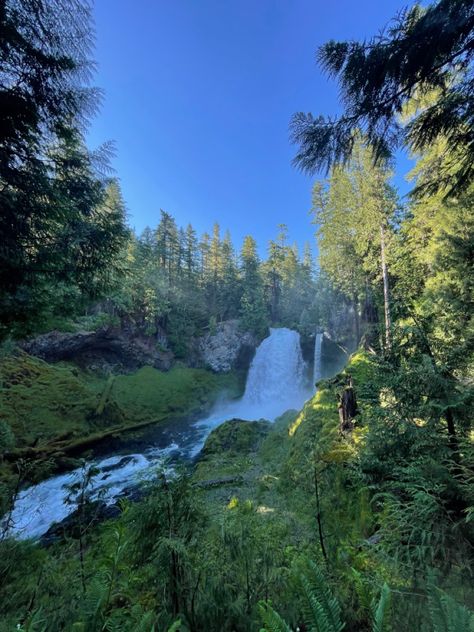 Salt Creek Falls Oregon, Sahalie Falls Oregon, Sweet Creek Falls Oregon, Horsetail Falls Oregon, Oregon Aesthetic, Oregon Landscape, Salem Oregon, Explore Oregon, Oregon Life