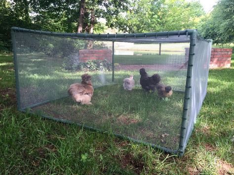 Eleven Gables: DIY Cheap and Easy Portable Chicken | Rabbit Run Chicken Pens, Farm Tips, Cheap Chicken Coops, Rabbit Enclosure, Portable Chicken Coop, Chicken Tractors, Chicken Coup, Pioneer Life, Diy Chicken Coop Plans