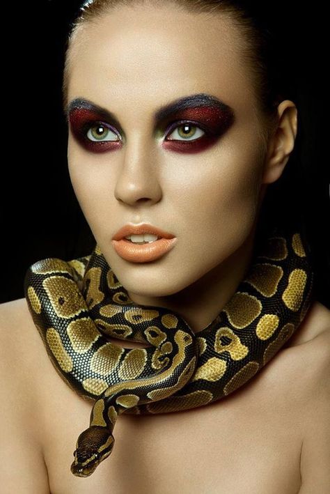 Snake Photos, Snake Girl, Snake Charmer, Snake Art, Artsy Photos, Bold Makeup, A Snake, Beautiful Creatures, Beauty And The Beast