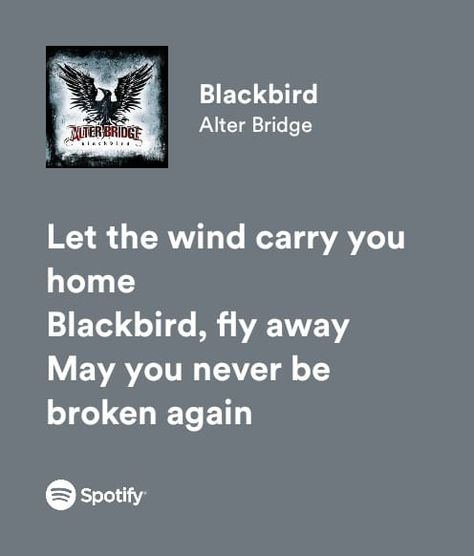 Blackbird Lyrics, Alter Bridge, Rock Baby, Blackbird, Black Bird, You Never, Bridge, Let It Be, Songs