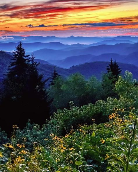 Blue Ridge Blue Ridge Mountains Virginia, Blue Ridge Mountains North Carolina, Mountains North Carolina, Virginia Vacation, Mountain Landscape Photography, Blue Ridge Mountain, Landscape Painting Tutorial, Mountain Landscape Painting, Nc Mountains