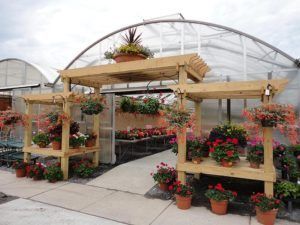 Retail Greenhouse Display Ideas, Garden Center Displays Retail, Garden Center Ideas, Greenhouse Benches, Garden Center Displays, Farmhouse Outdoor Decor, Garden Workshops, Greenhouse Plants, Garden Decor Projects