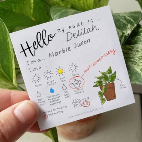 Plant Tags Diy, Plant Care Tags, Plant Drawings, Tags For Gifts, Plant Notes, Monthly Printable, Plant Care Instructions, Plant Party, Plant Journal