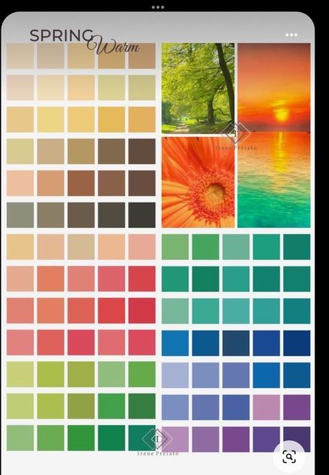 True Spring Colour Palette, Spring Warm Palette, Spring Color Analysis Palette, Spring Palette Outfits, Spring Color Analysis, Library Design Ideas, True Spring Palette, Warm Spring Palette, Library Video