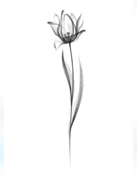 Tulip Neck Tattoo, X Ray Tulip Tattoo, Inner Bicep Tattoos For Women, X Ray Tattoo, Tulip Flower Tattoo, Sinister Tattoos, Positivity Tattoo, Tulip Tattoo, Tattoos For Women Flowers