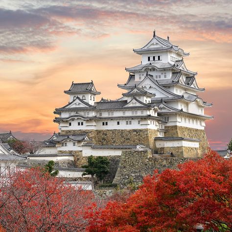 There are only 12 remaining original castles left in Japan - that is, feudal era castles that have survived into the modern era. Which ones should be at the top of your must-see Japan list? Japan Travel Destinations, Himeji Castle, Chateau Medieval, Japanese Castle, Japan Travel Tips, Travel Japan, Hyogo, Kumamoto, Okayama